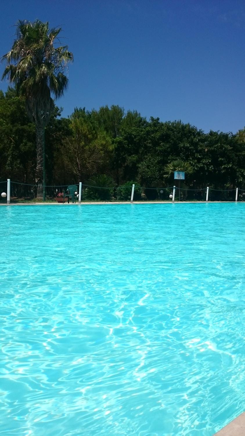 Summer, On site, Pool view, Swimming pool