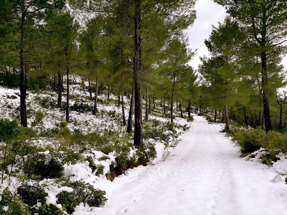 Off site, Natural landscape, Winter