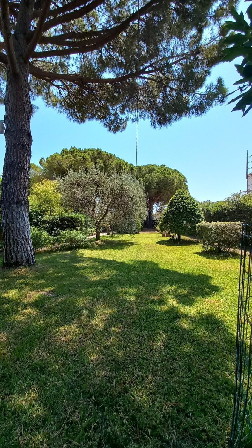 Day, Natural landscape, Garden, Garden view