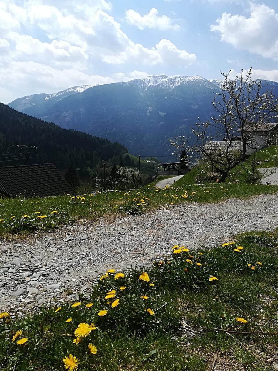 Chalet Catton Two Bedroom Appartement near Bad Kleinkirchheim Apartment in Carinthia, Austria