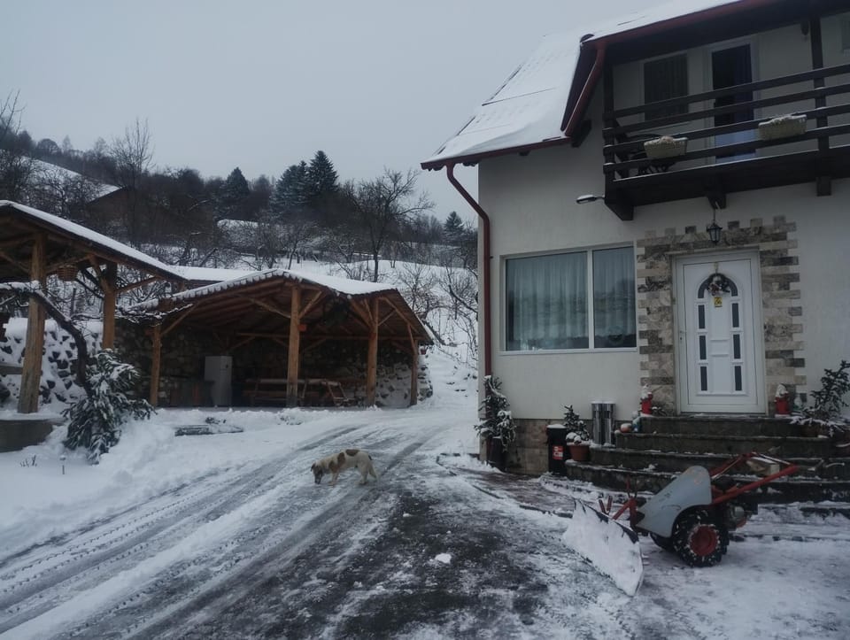 Pensiune La Iulian Bed and Breakfast in Brașov County