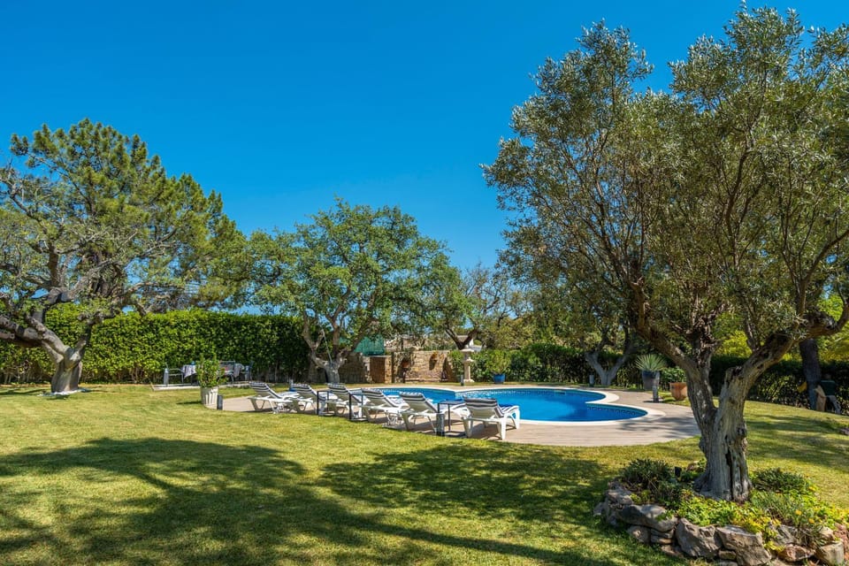 Natural landscape, Garden, Garden, Garden view, Swimming pool, Swimming pool