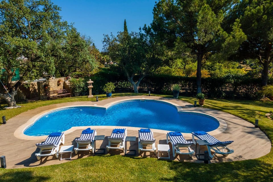 Garden, Pool view, Swimming pool, Swimming pool, sunbed