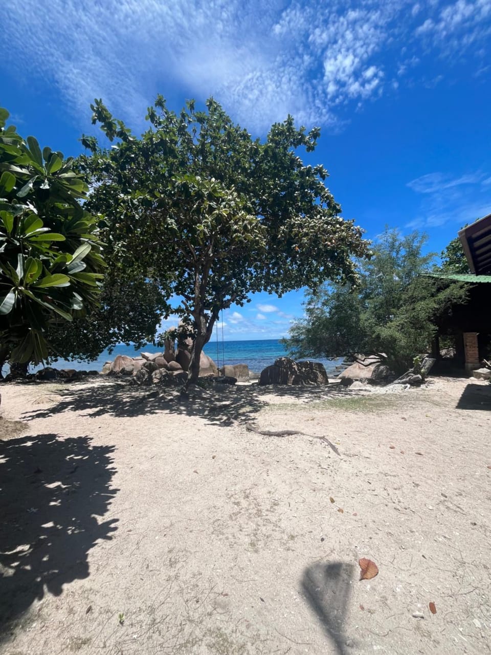 Beach, Beach