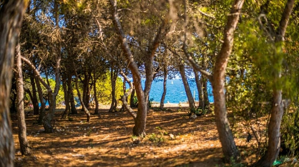 Villa Playa del Sur A 250 metros de una magnifica playa Capacidad más de 16 AC 6 Suites Piscina XL Villa in Torredembarra