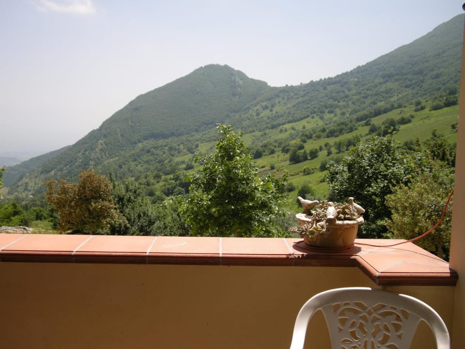 Balcony/Terrace, Balcony/Terrace, Mountain view