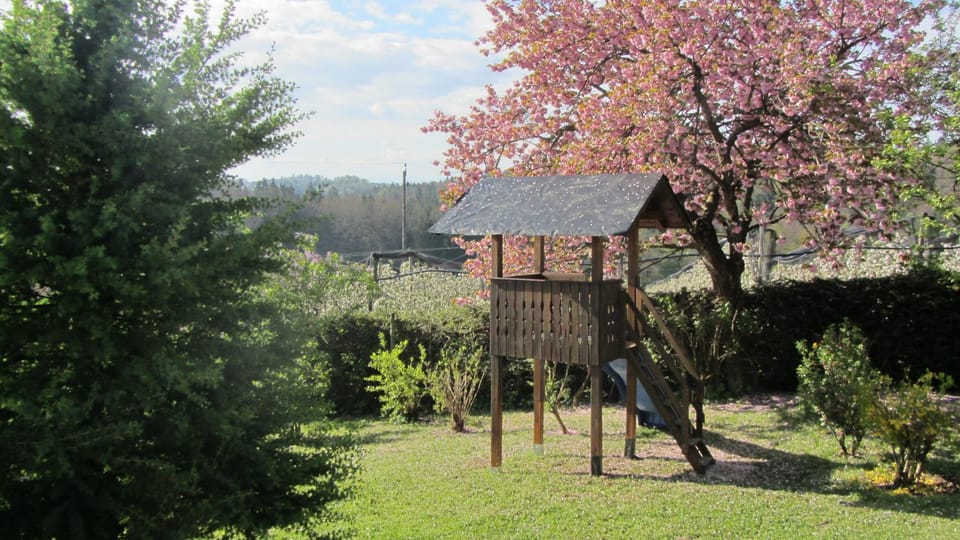 Children play ground