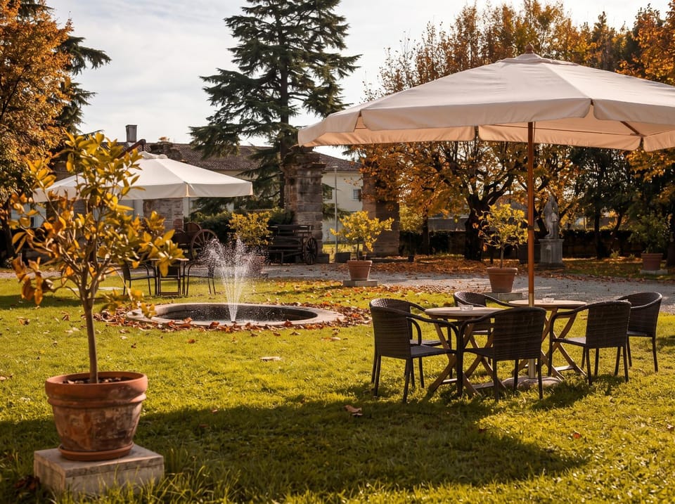 Garden, Autumn
