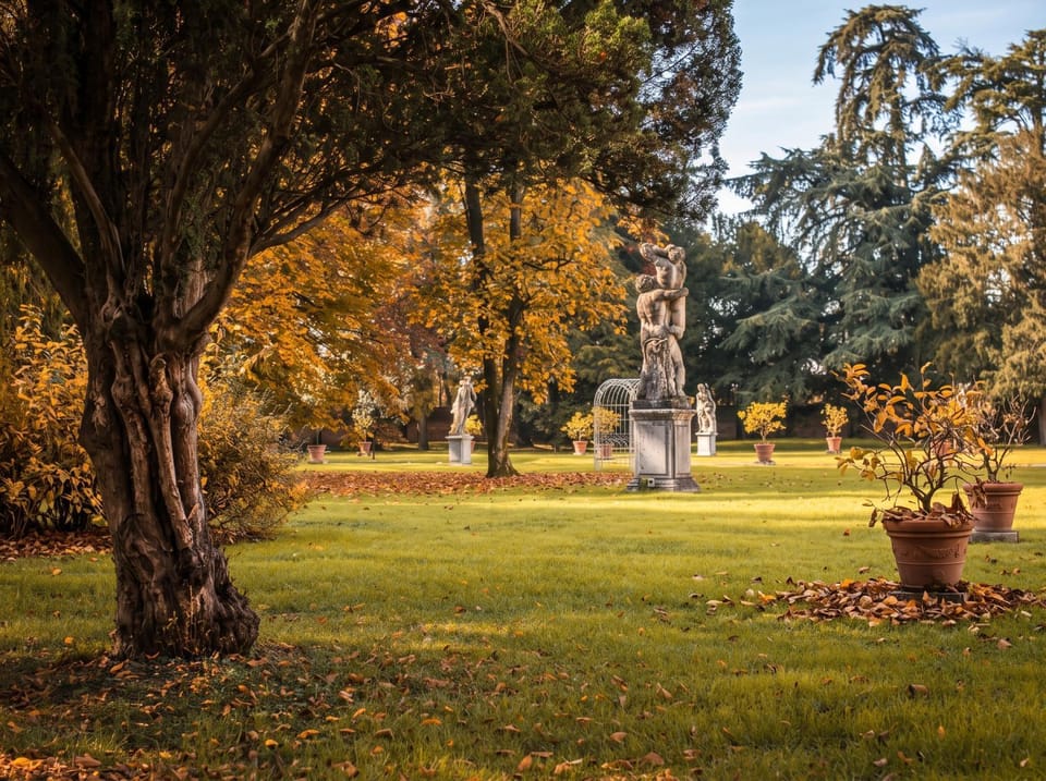 Garden, Autumn