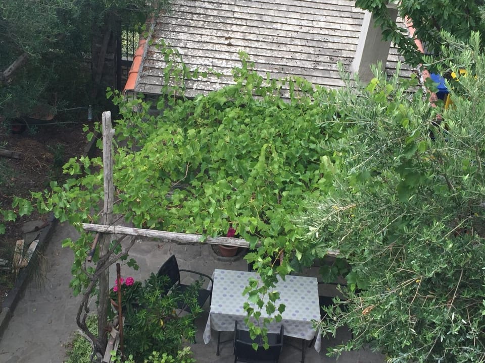 Appartamento vacanze "Borgo Cinque Terre" Volastra Manarola Apartment in Cinque Terre