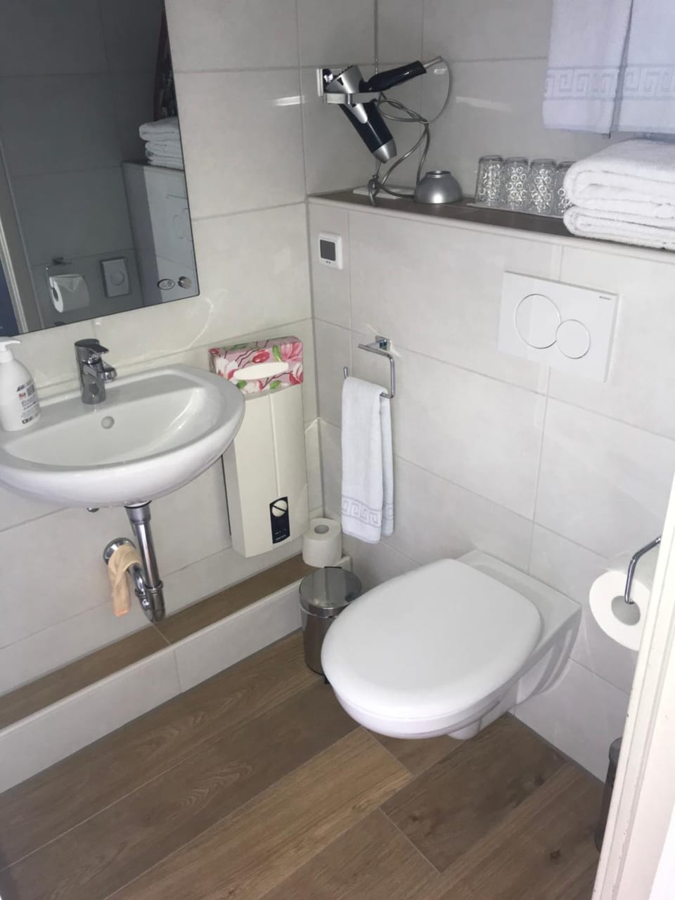 Shower, Toilet, Photo of the whole room, Decorative detail
