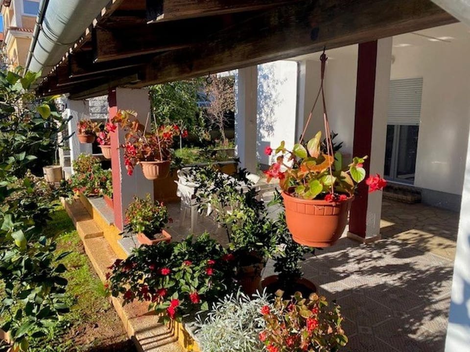 Apartman Grgurevic Apartment in Pula