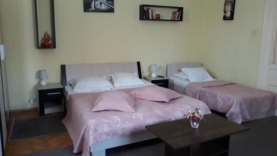 Villa Casa Ioana Bed and Breakfast in Brasov