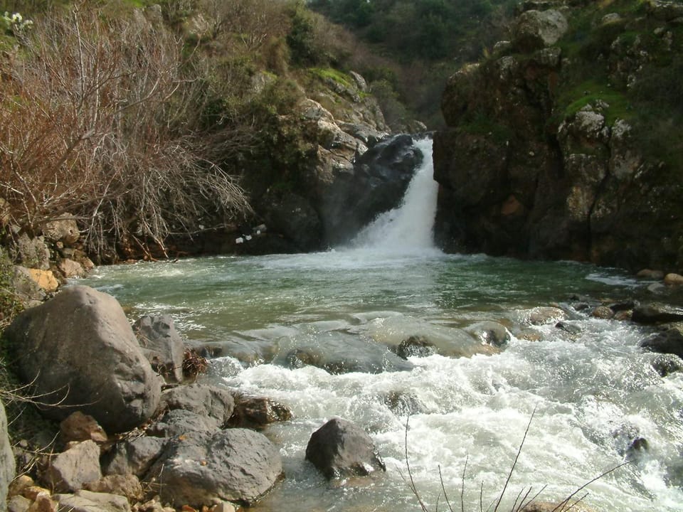 Sanabl Druze Hospitality Bed and Breakfast in North District
