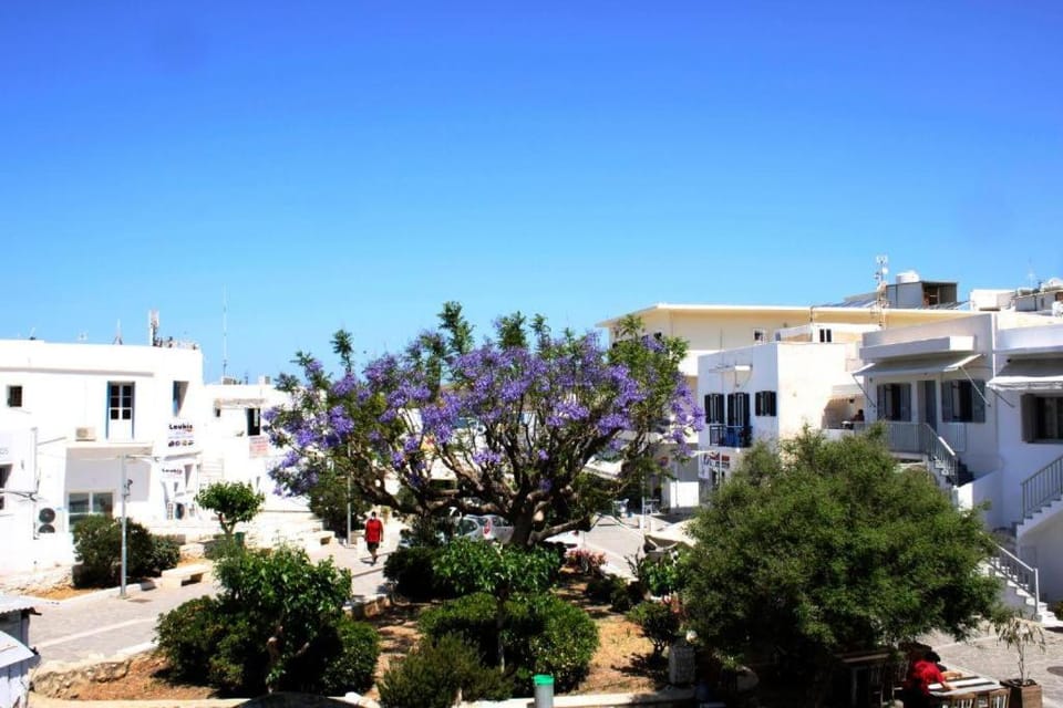 Passos Rooms Hotel in Paros