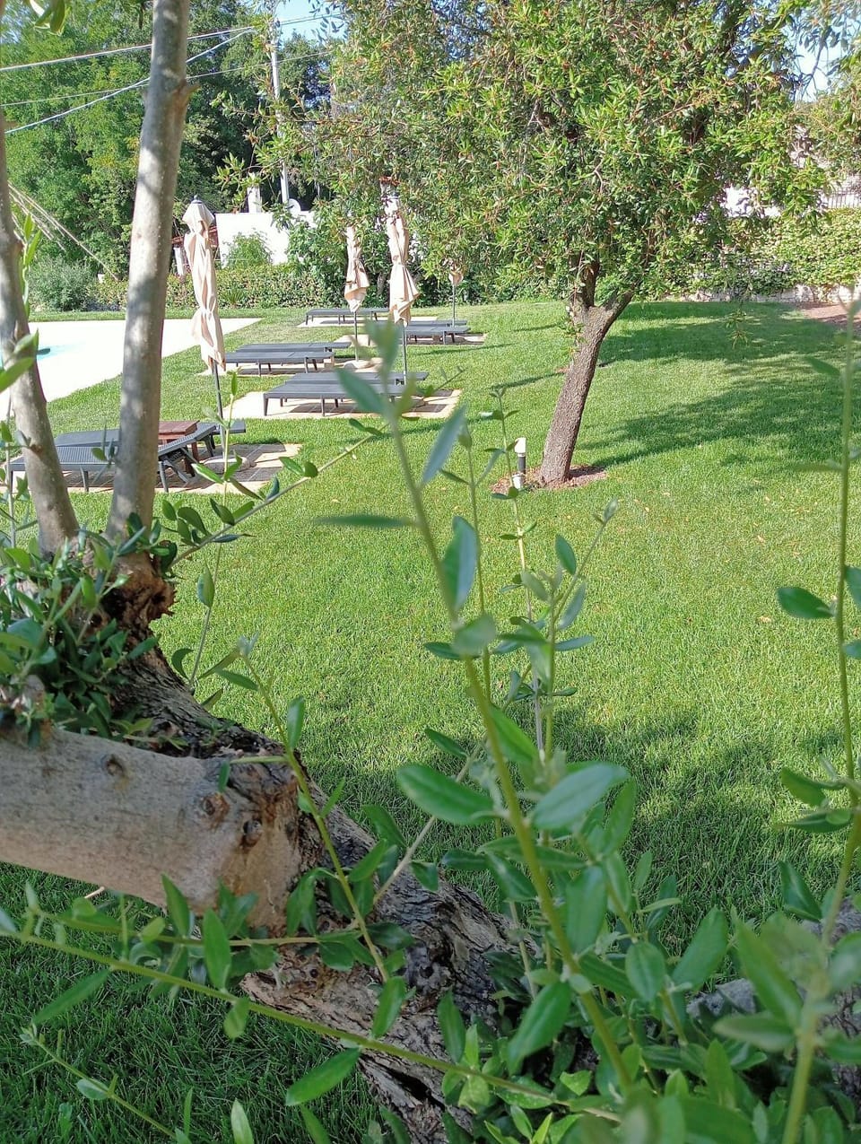 B&B Villa Rosanna Bed and Breakfast in Apulia