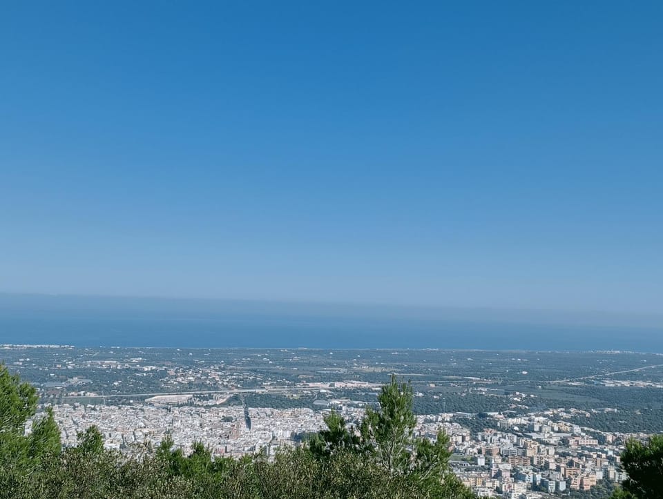 B&B Villa Rosanna Bed and Breakfast in Apulia