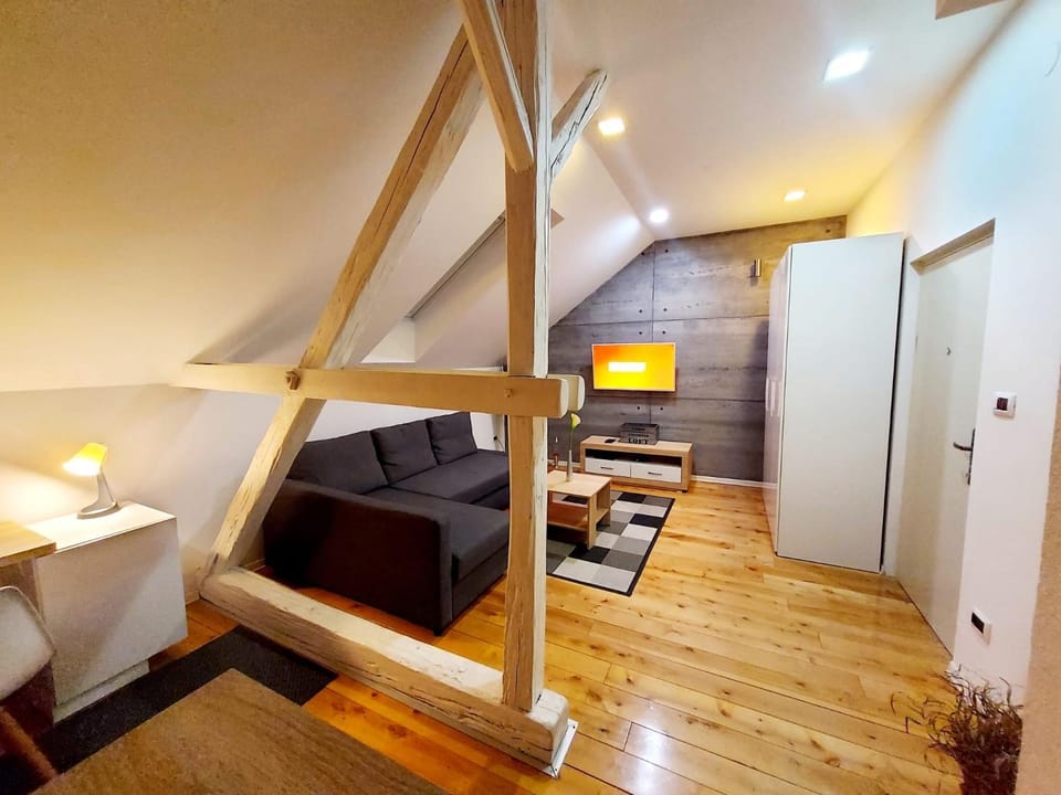 Loft Osijek Apartment in Croatia