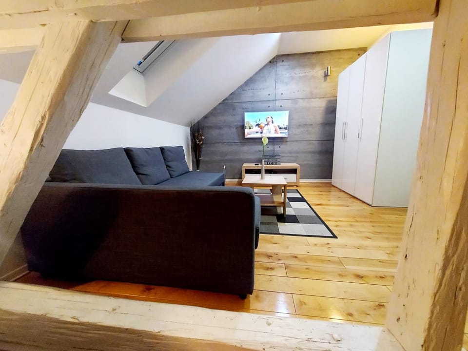 Loft Osijek Apartment in Croatia