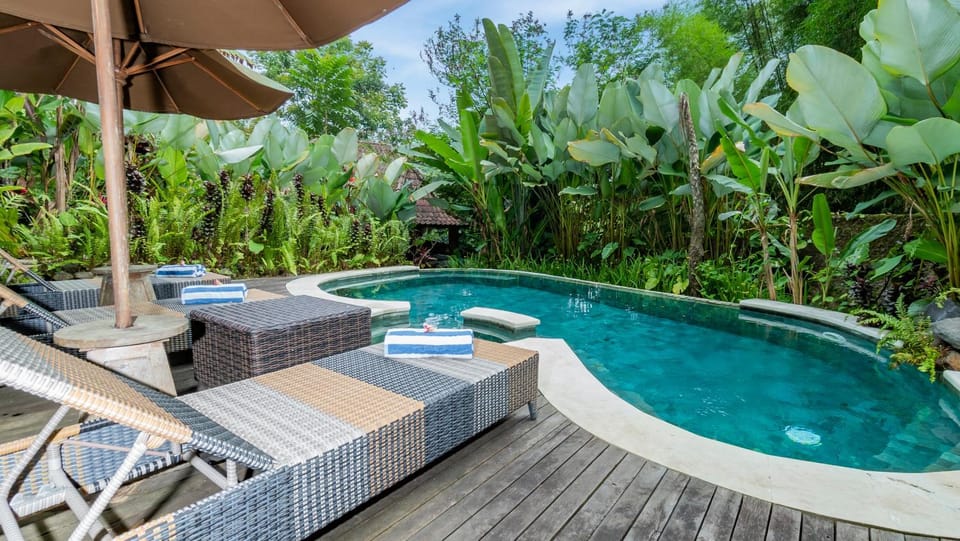 Day, Natural landscape, Garden view, Pool view, Swimming pool, sunbed