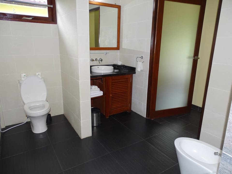 Toilet, Bathroom, bidet