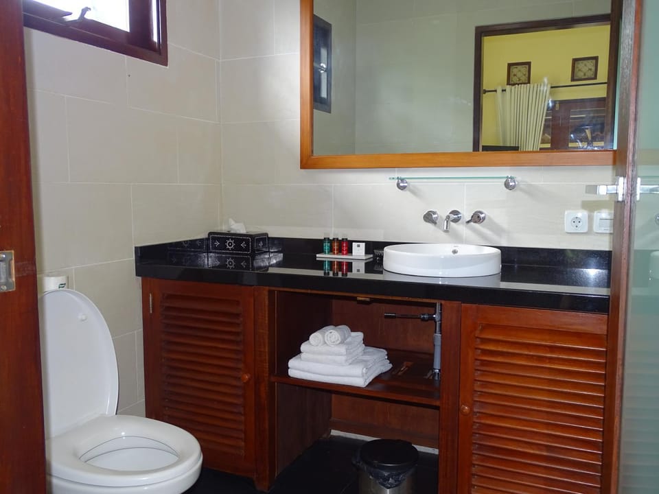 Toilet, Bathroom, towels
