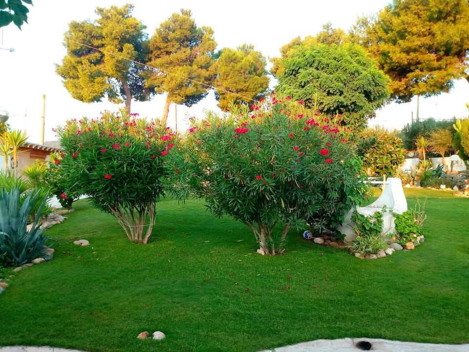 Garden, View (from property/room), Garden view