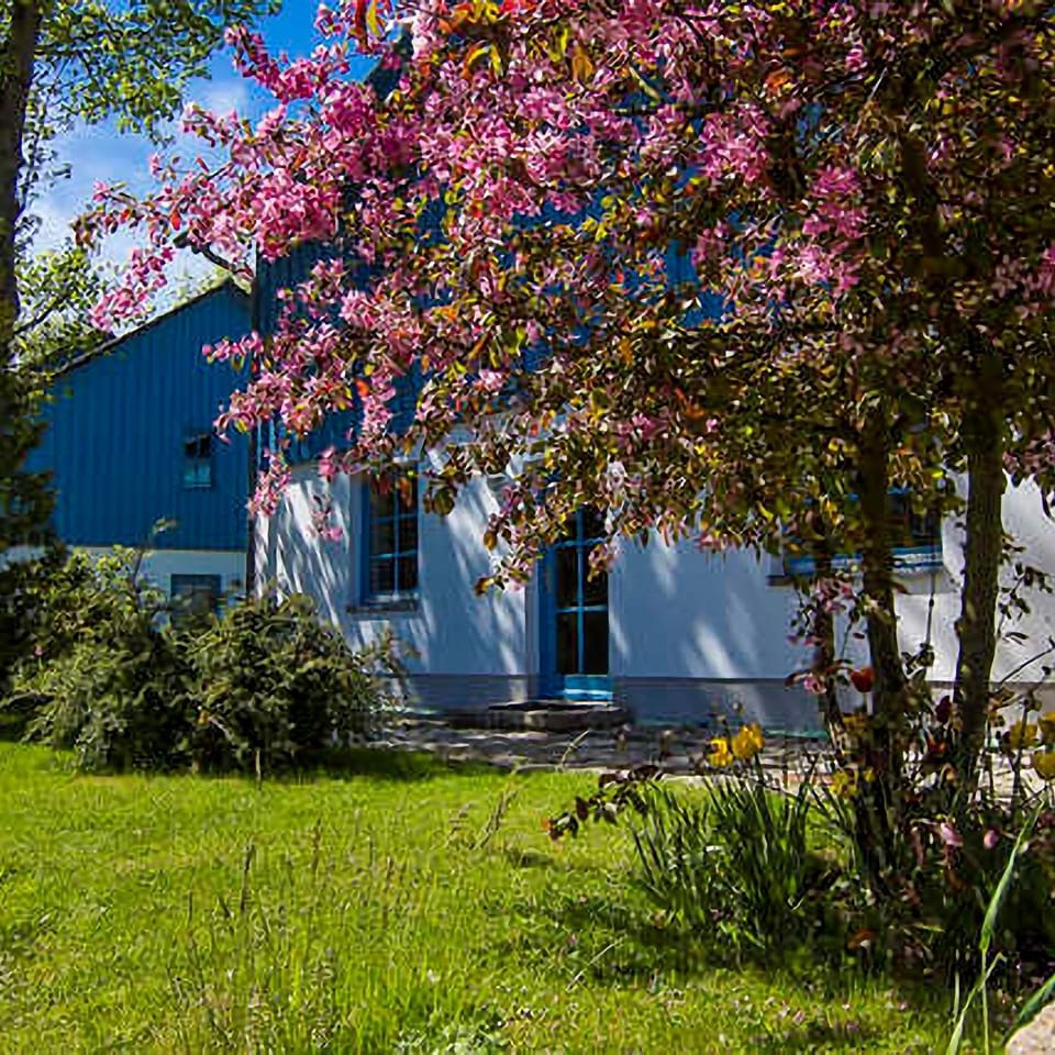 Property building, Garden view