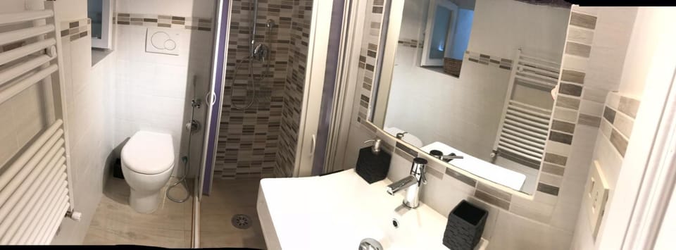 Toilet, towels, dryer