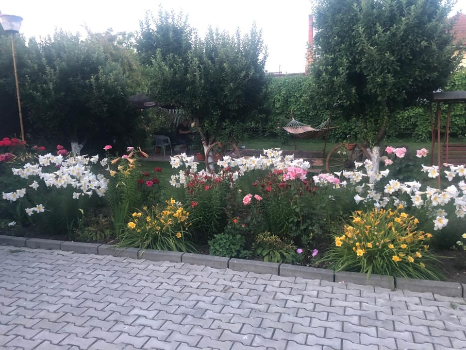 Pensiunea Elis Bed and Breakfast in Serbia