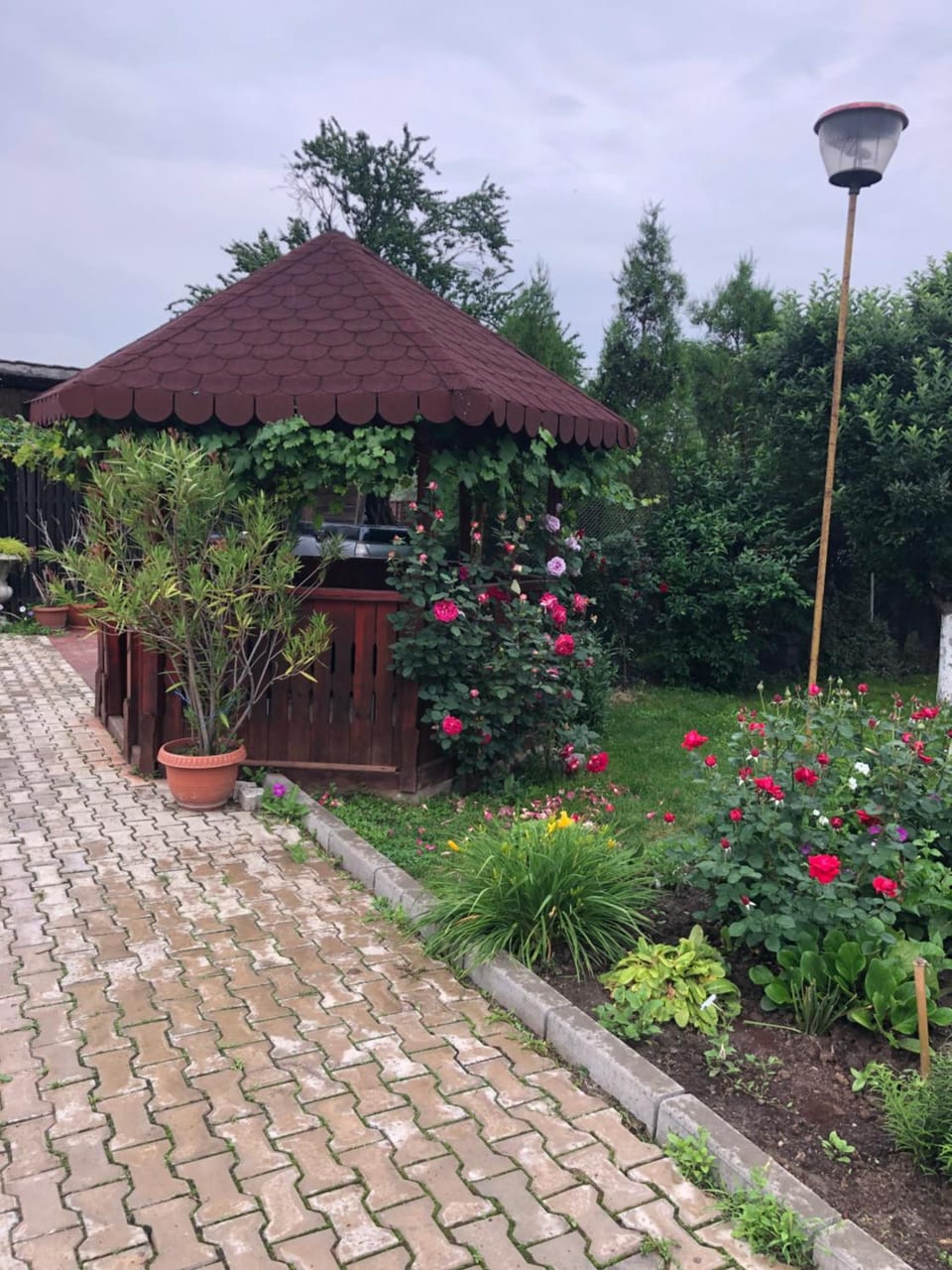 Pensiunea Elis Bed and Breakfast in Serbia