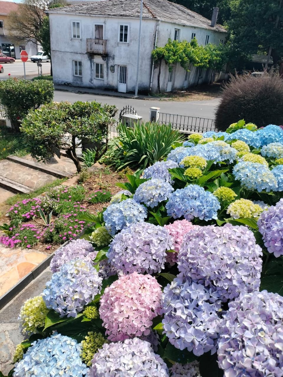 Garden, Quiet street view