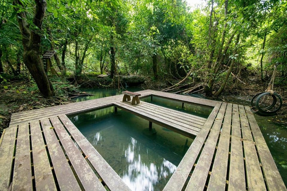 Day, Natural landscape, River view