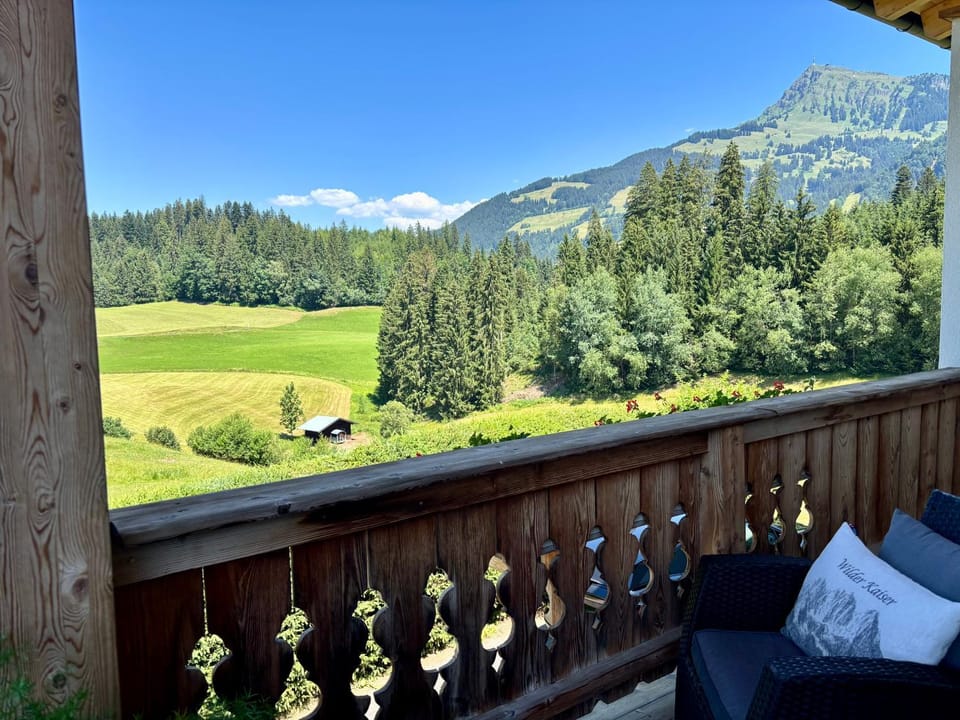 Natural landscape, View (from property/room), Balcony/Terrace, Mountain view