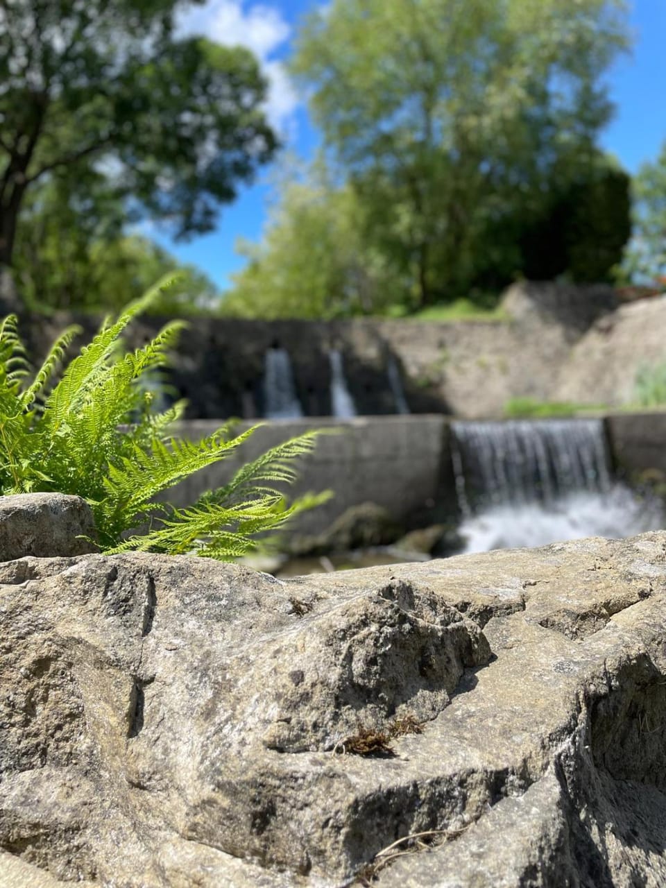 Natural landscape
