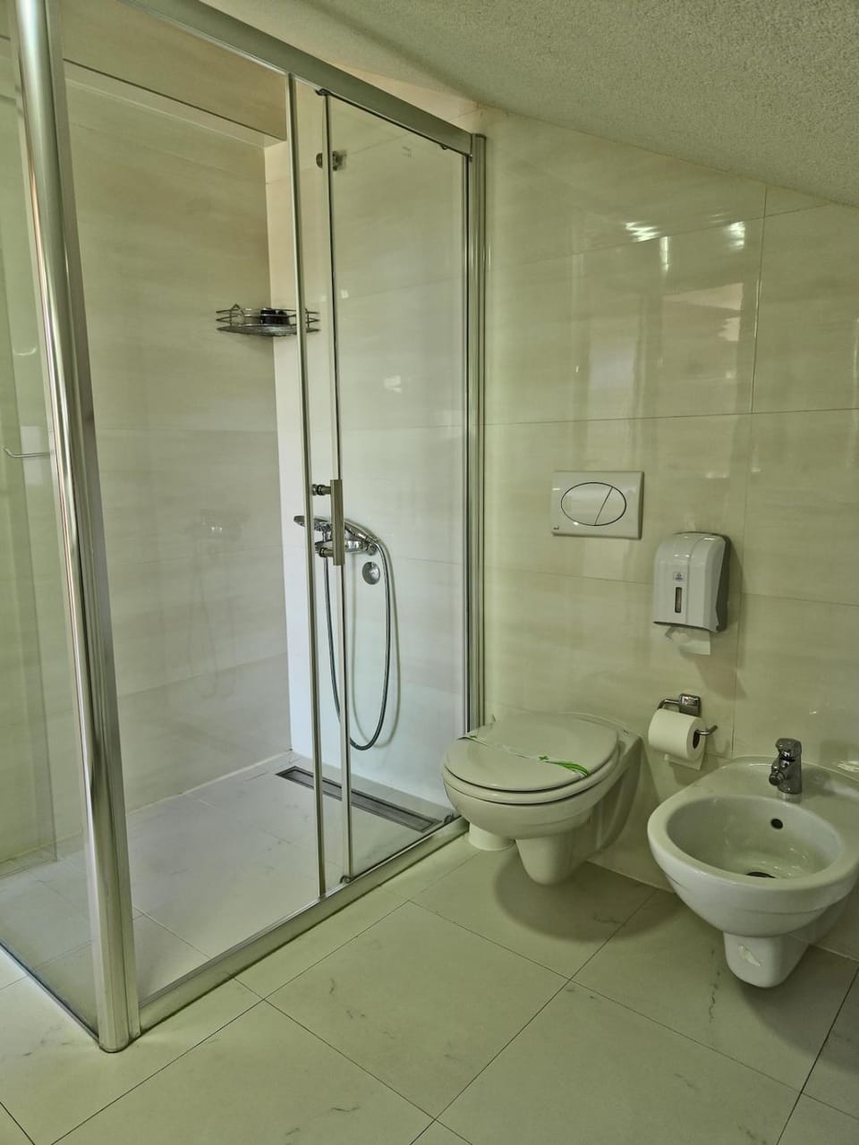 Shower, Toilet, Bathroom, bidet