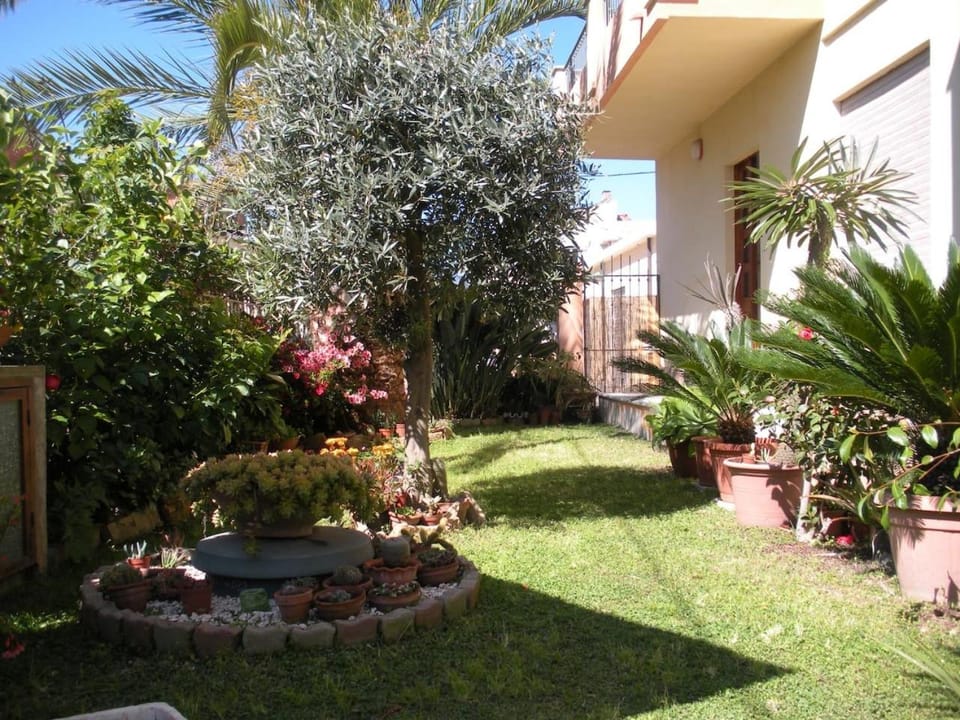 Garden view