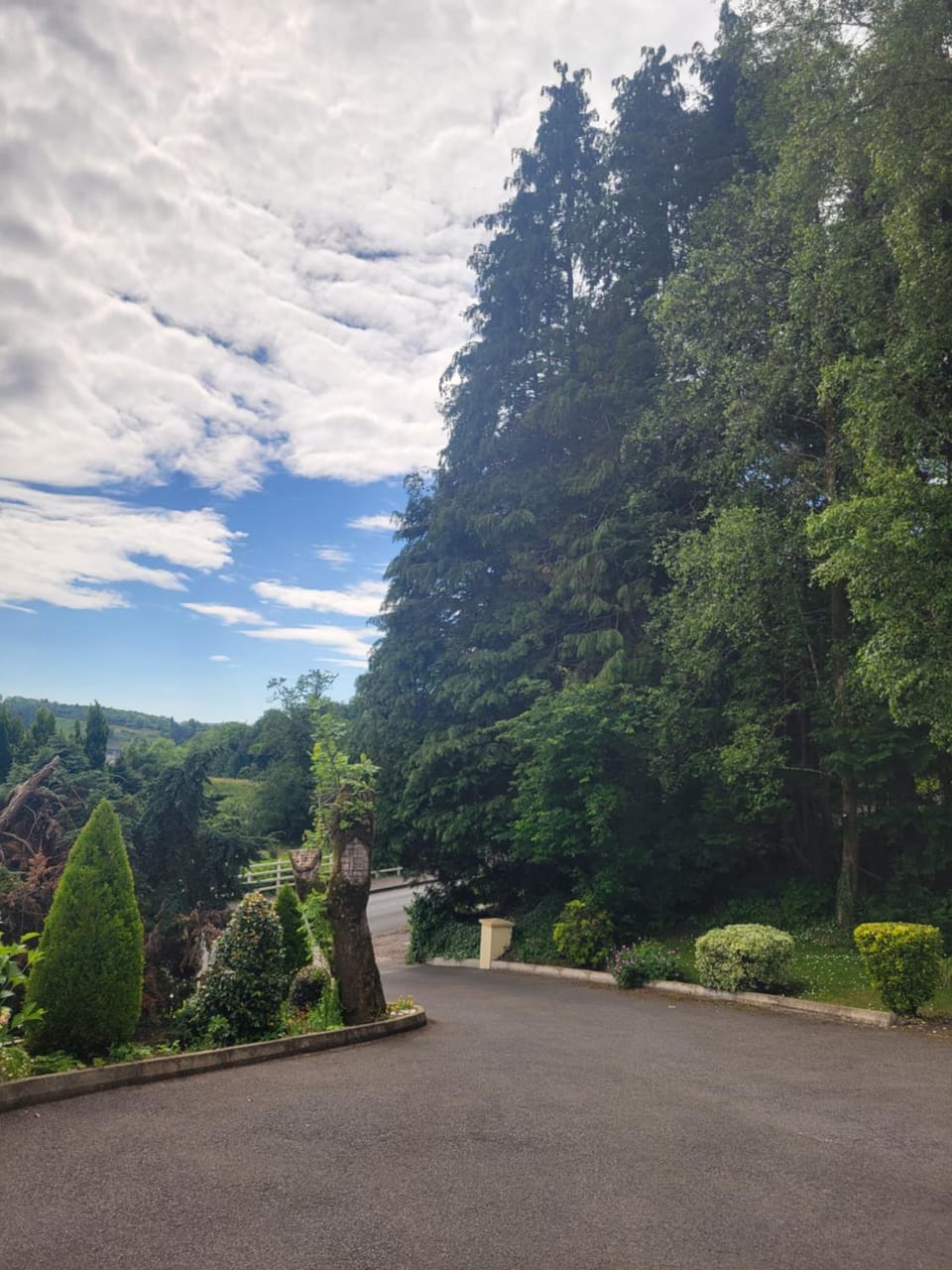 Garden, Garden view, Parking