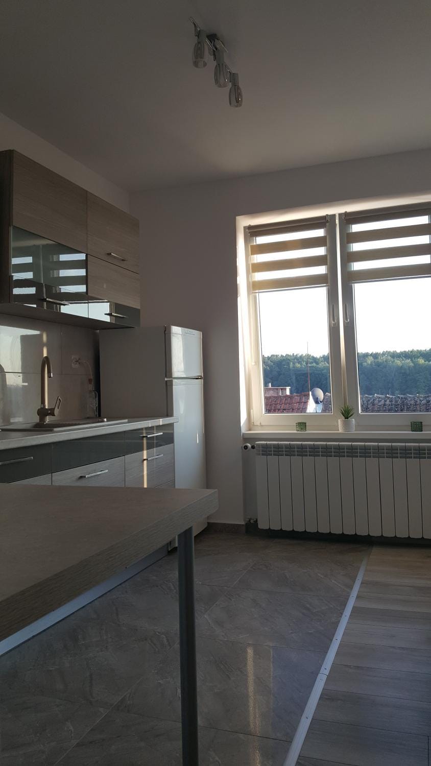 Kitchen or kitchenette, Living room, Lake view, Street view