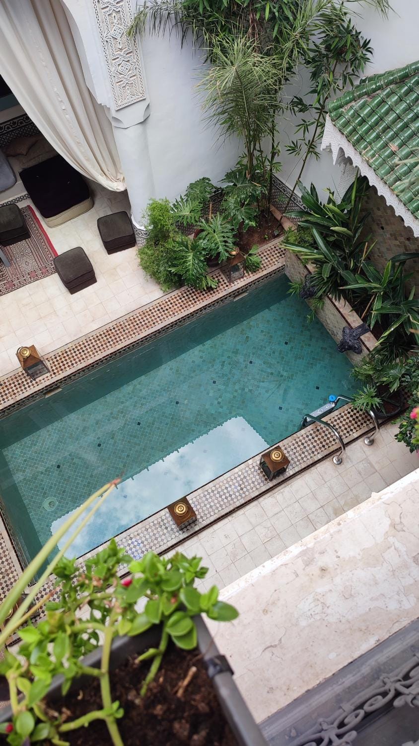 Day, Garden, View (from property/room), Garden view, Pool view, Swimming pool, Swimming pool
