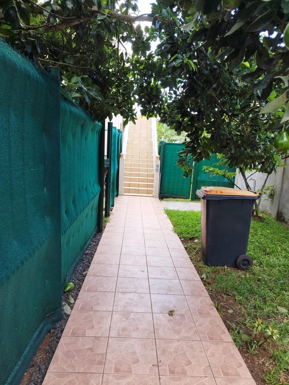 chez jojo Apartment in Leeward Islands