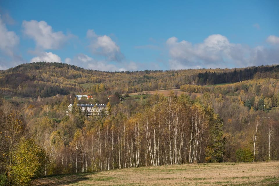 Natural landscape