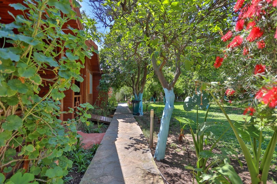 Cinderella Pension & Bungalow Bed and Breakfast in Antalya Province