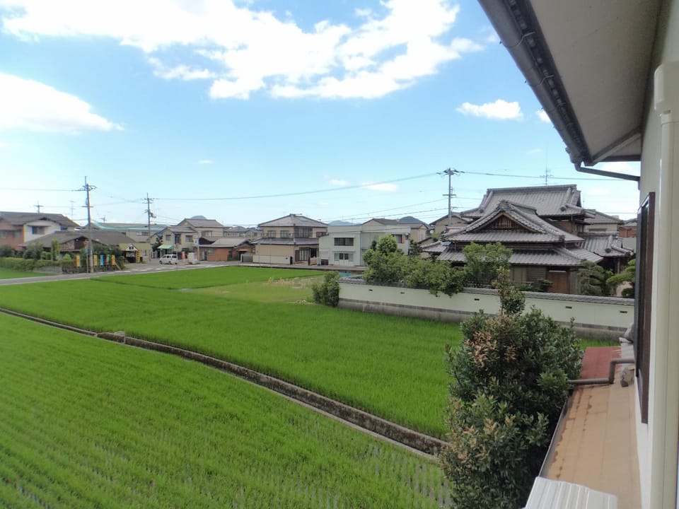 View (from property/room)