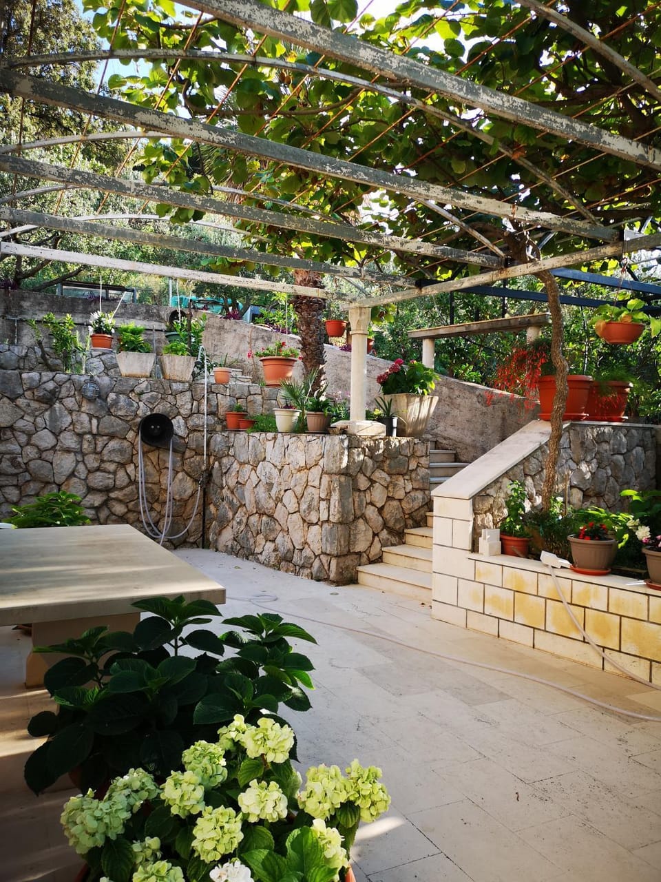 Garden, Garden view
