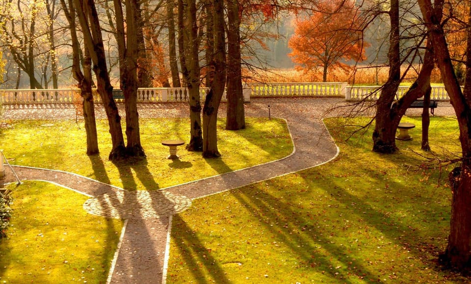 Garden, Autumn, Garden view