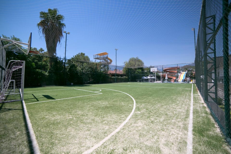Sports
