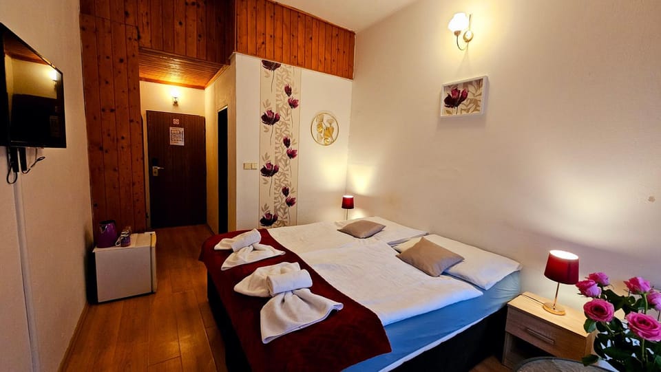 Penzion Alfa Poděbrady Bed and Breakfast in Lower Silesian Voivodeship
