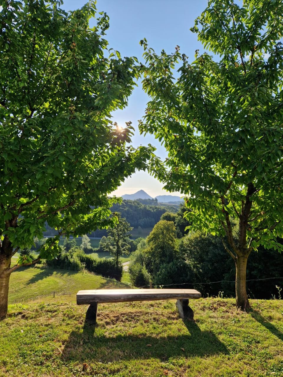 Garden view