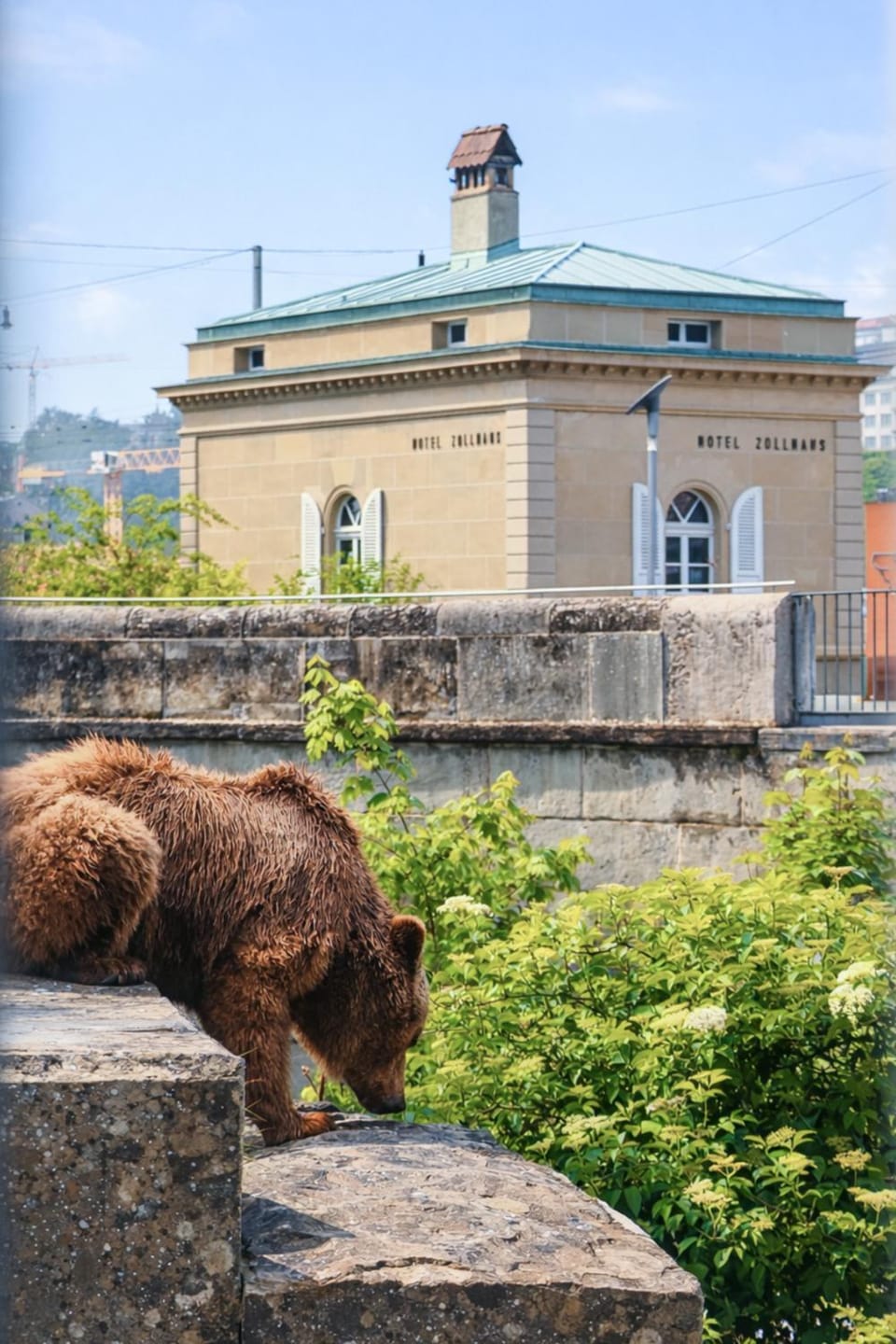 Animals, Landmark view